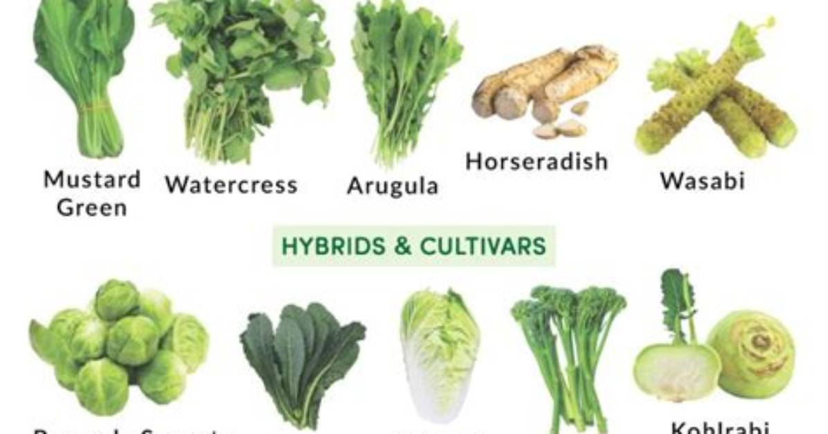 Do Cruciferous Vegetables Increase Testosterone?