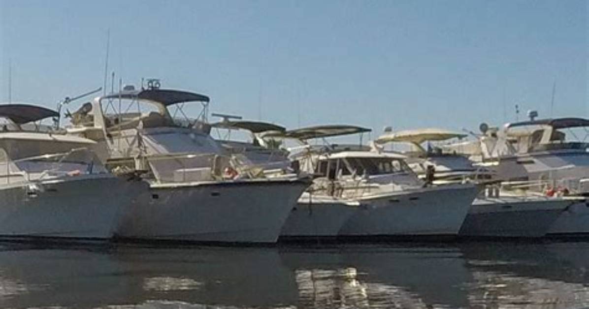 Do Cruisers Go off?