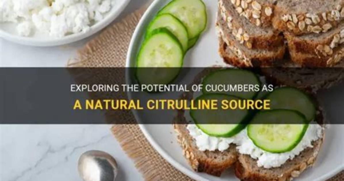 Do Cucumbers Contain Citrulline?