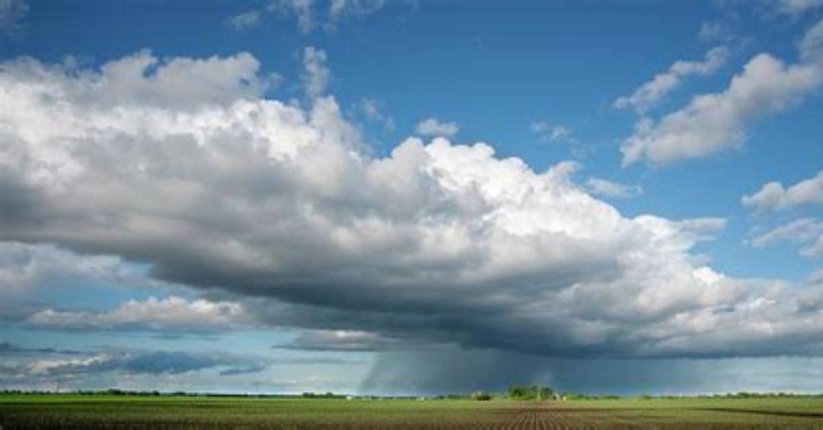 Do Cumulus Clouds Produce Rain?