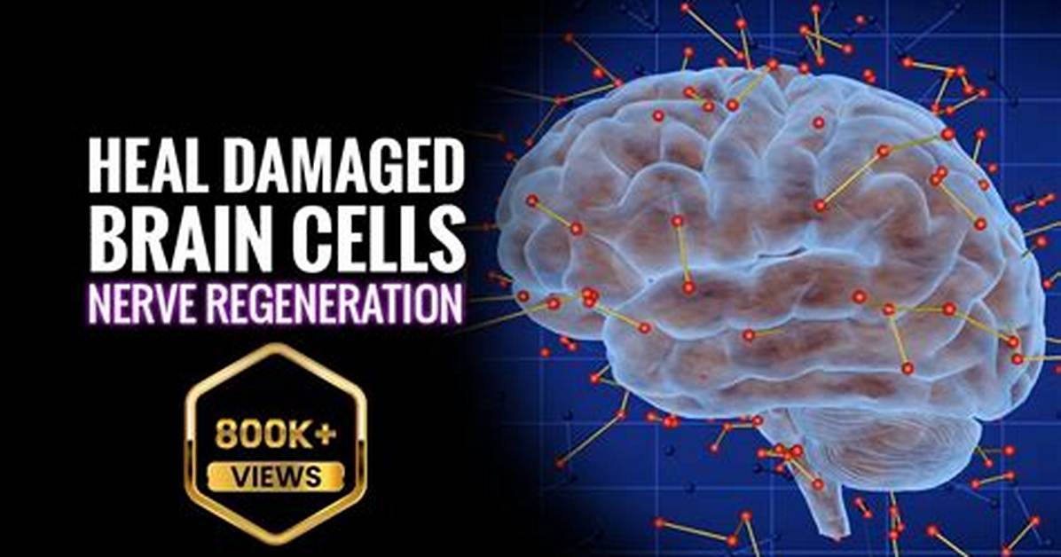 Do Damaged Brain Cells Regenerate?