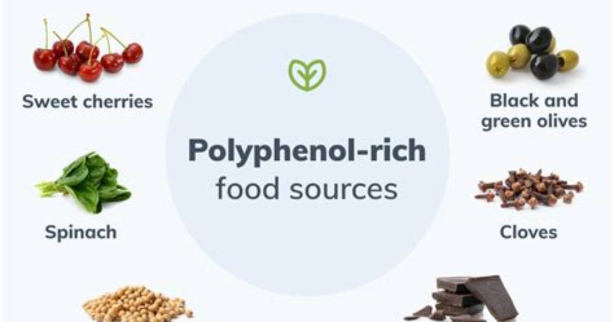 Do Dates Have Polyphenols