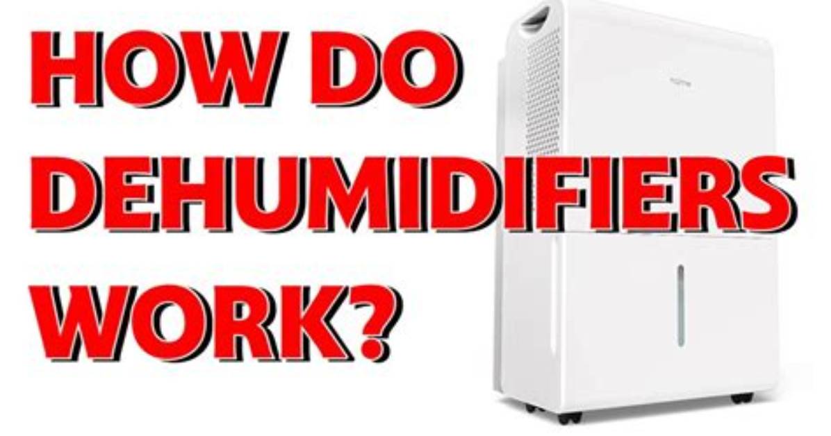 Do Dehumidifiers Turn off Automatically Full