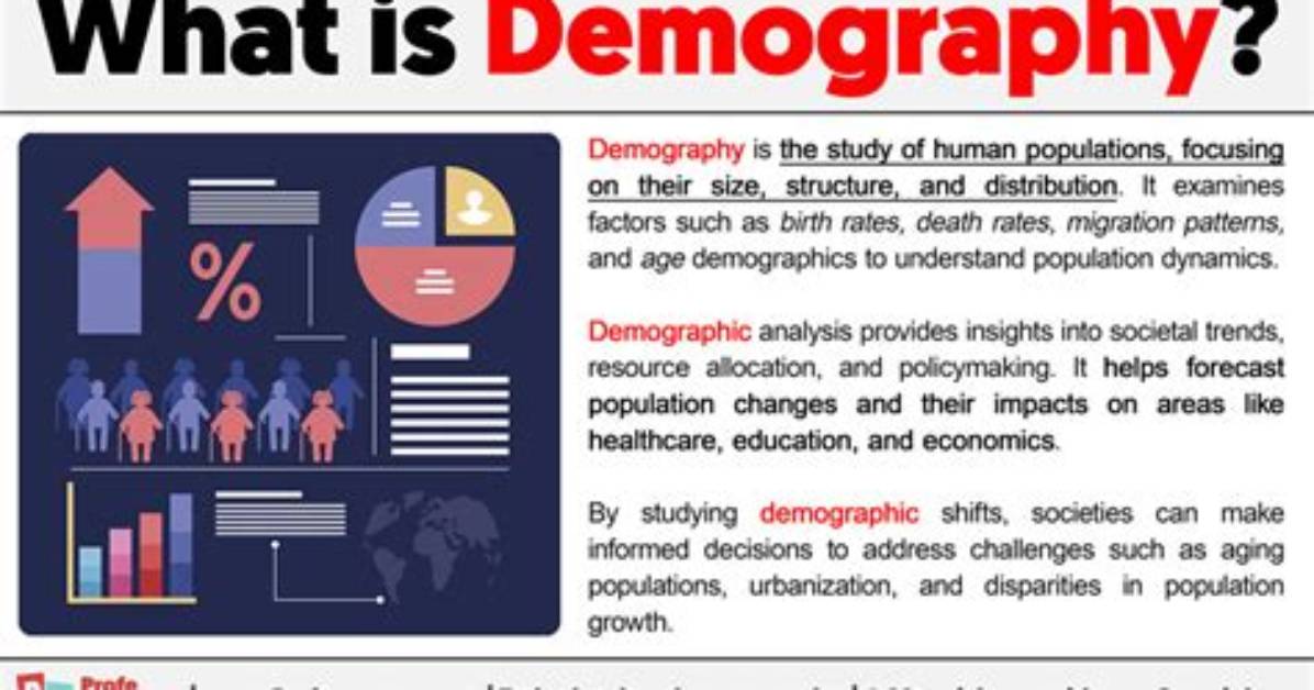 Do Demographers Study Statistics?