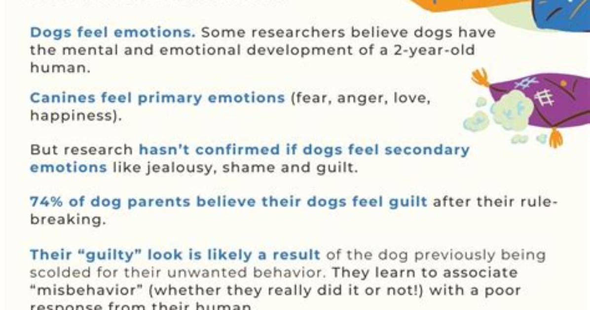 Do Dogs Feel Satiated?