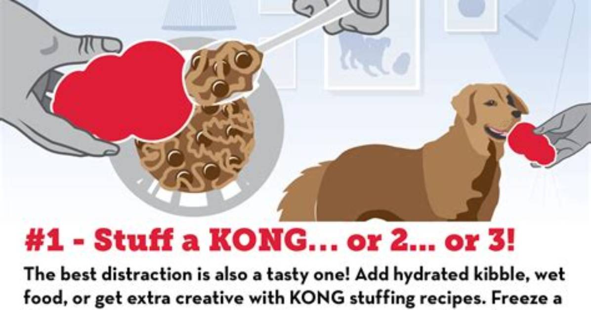Do Dogs Get Bored Easily?