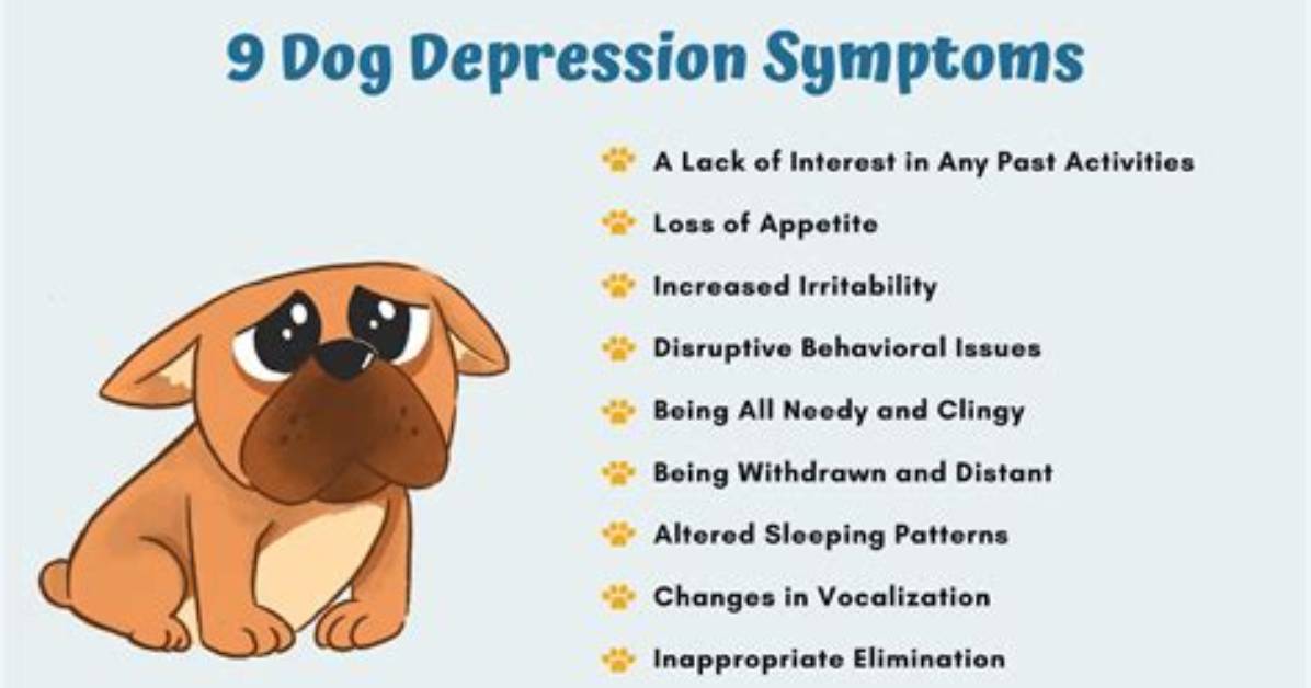 Do Dogs Get Depressed?