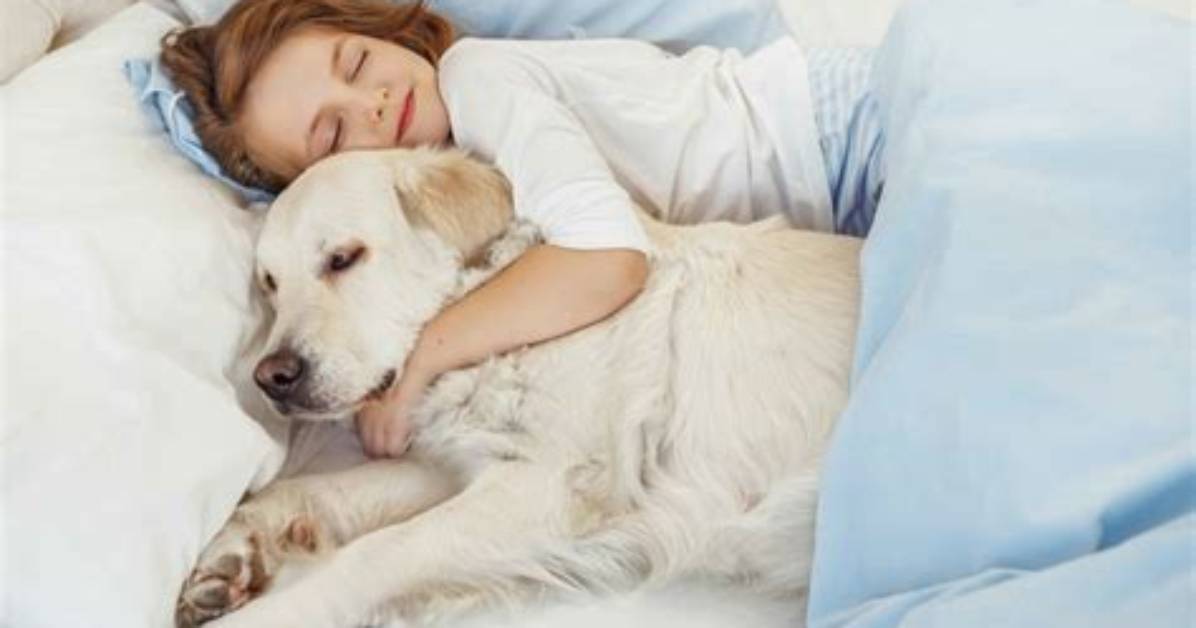 Do Dogs Like Cuddling While Sleeping?