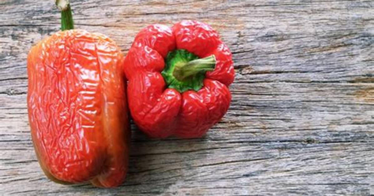 Do Dried Peppers Go Bad