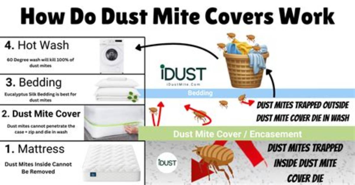 Do Dust Mite Pillow Covers Work