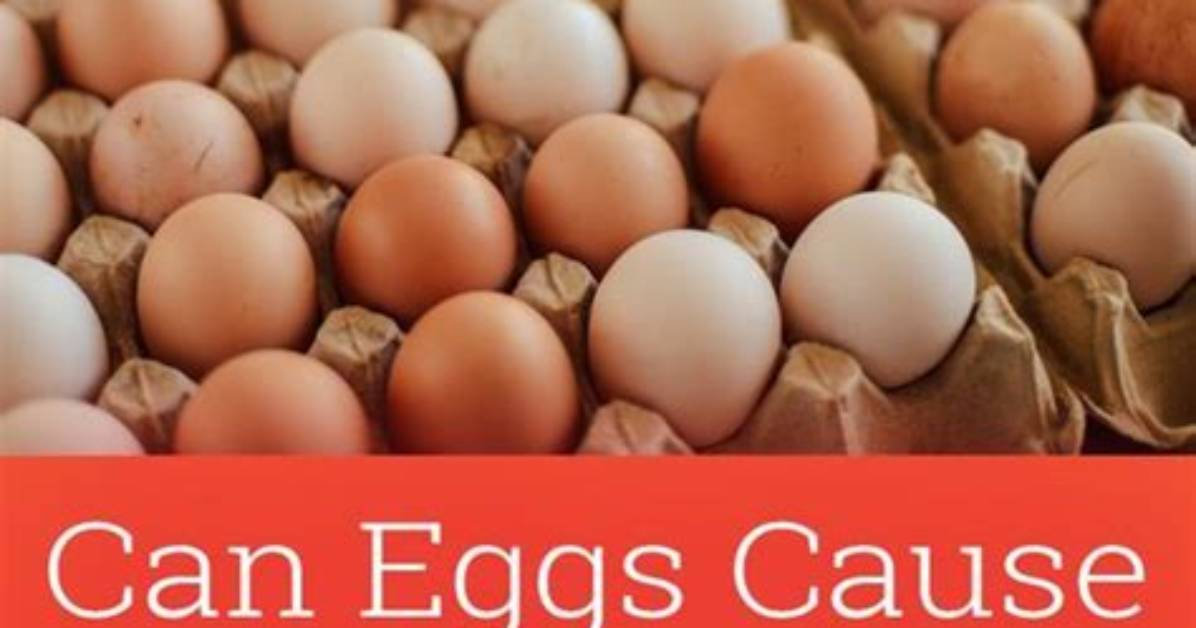 Do Eggs Cause Inflammation