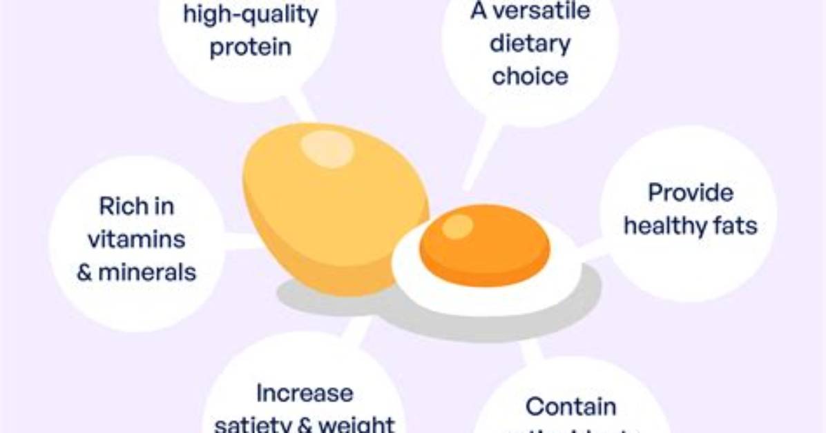 Do Eggs Have Sugar?