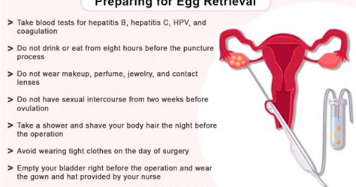 Do Eggs Mature After Retrieval?