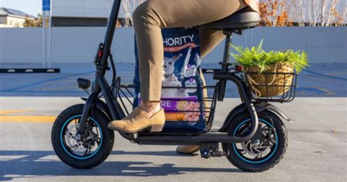 Do Electric Scooters Fold?