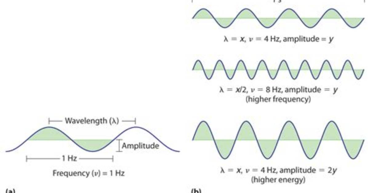 Do Electromagnetic Waves Have the Same Amplitude?