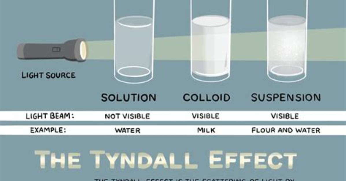 Do Emulsions Show Tyndall Effect?