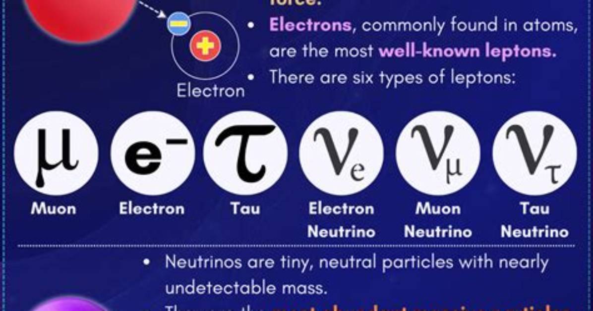 Do Fermions Obey Principle?