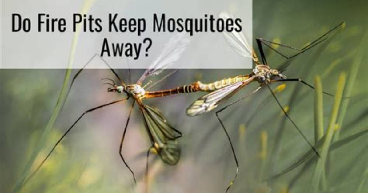 Do Fire Pits Keep Mosquitoes Away?