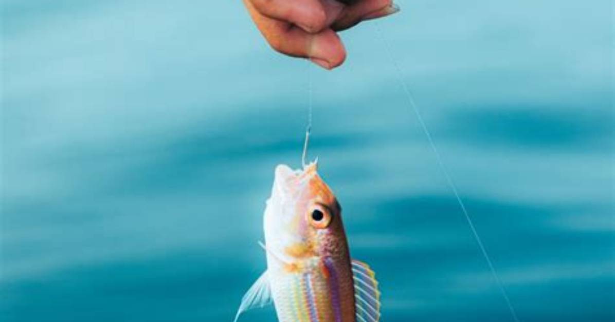 Do Fish Bite Better Before or After a Cold Front?