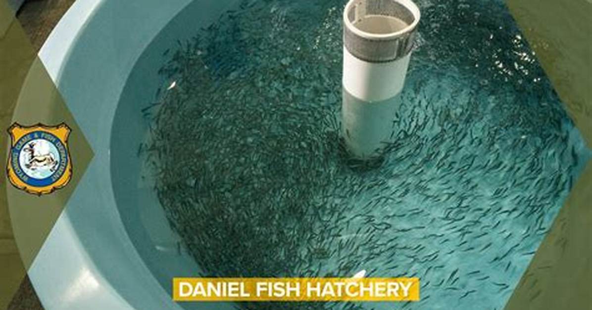 Do Fish Hatcheries Make Money?