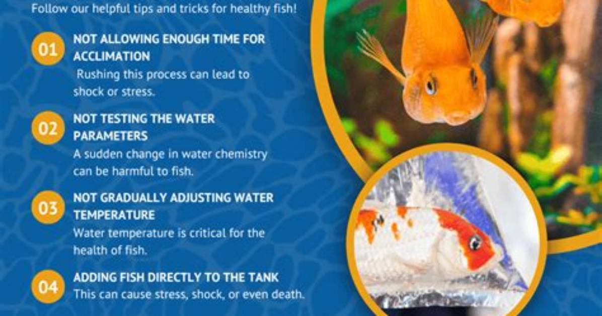 Do Fish Have Acclimation?