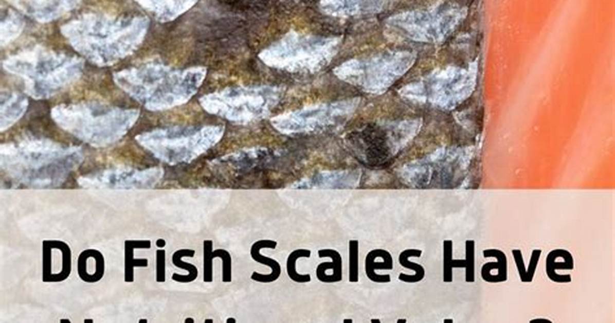 Do Fish Scales Have Nutritional Value?