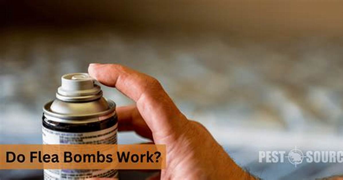 Do Flea Bombs Work?