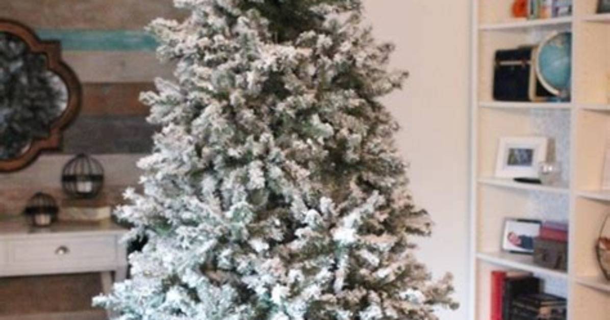 Do Flocked Trees Last Longer?