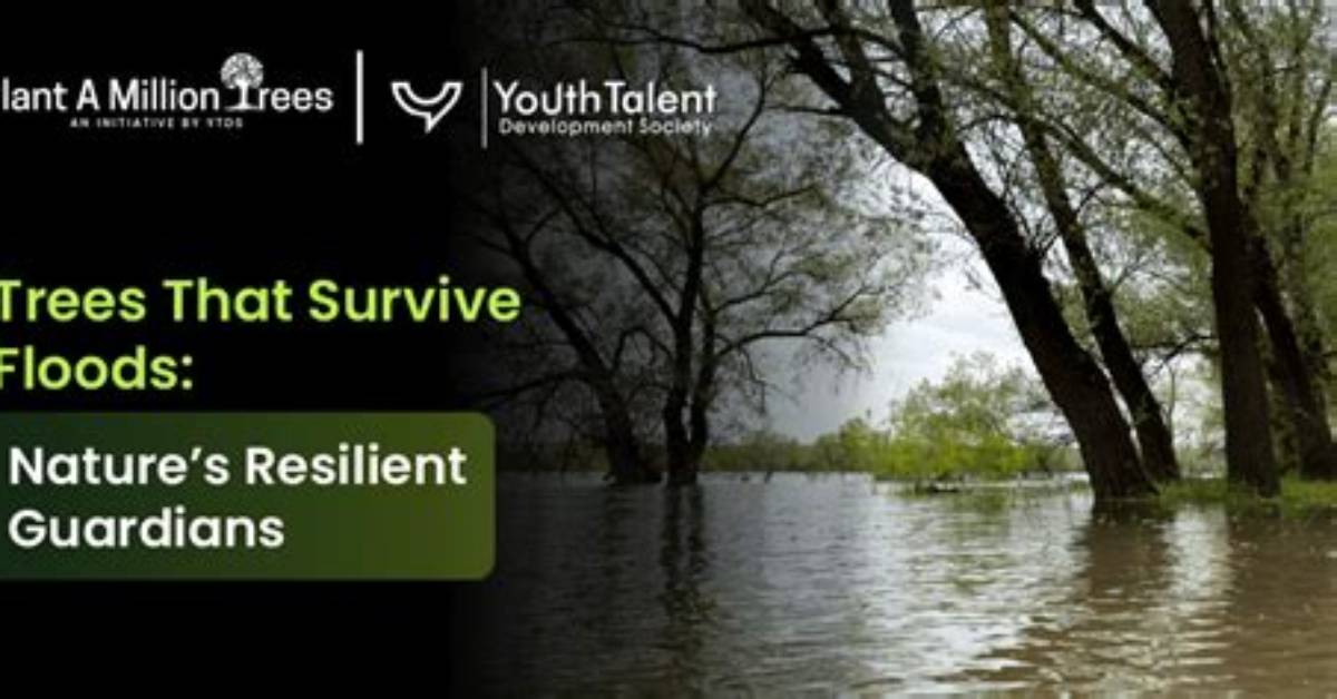 Do Floods Kill Trees?