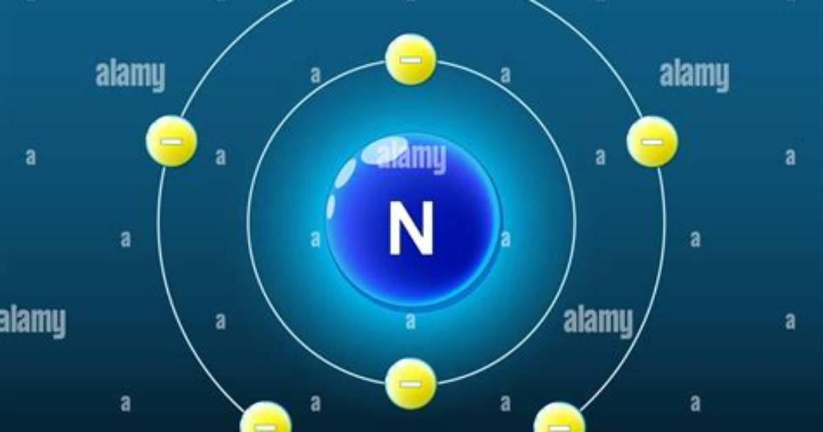 Do Flowers Like Nitrogen?