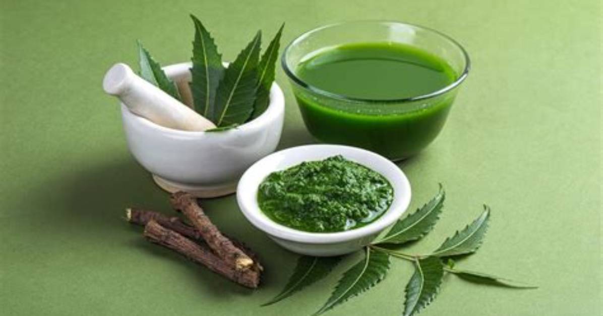 Do Fynbos Have Medicinal Value?