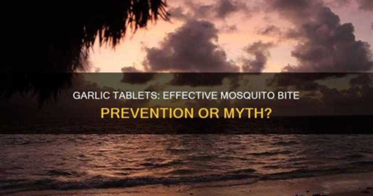 Do Garlic Tablets Prevent Mosquito Bites?