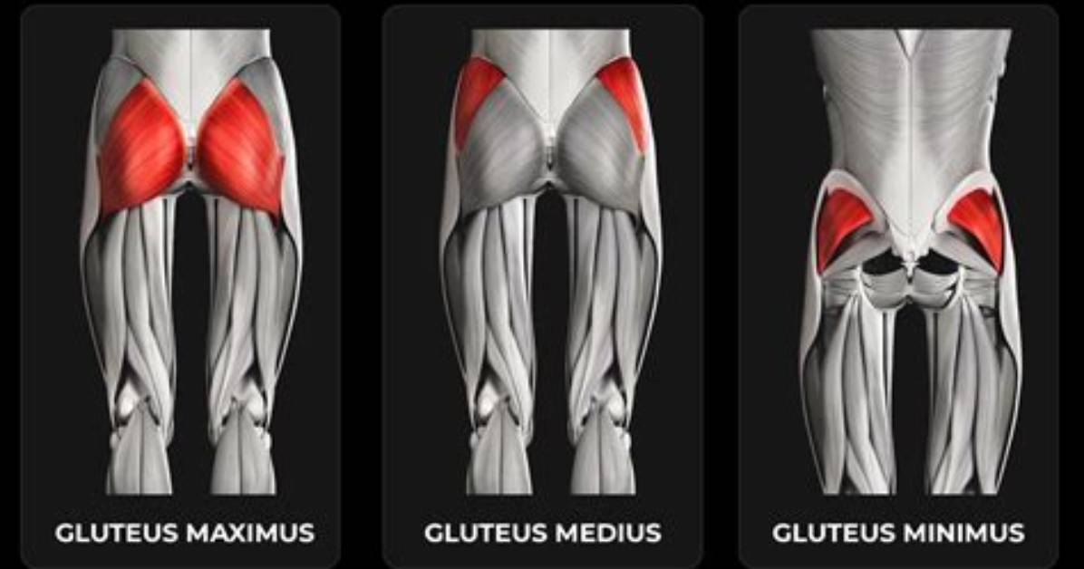 Do Glutes Help with Sprinting?