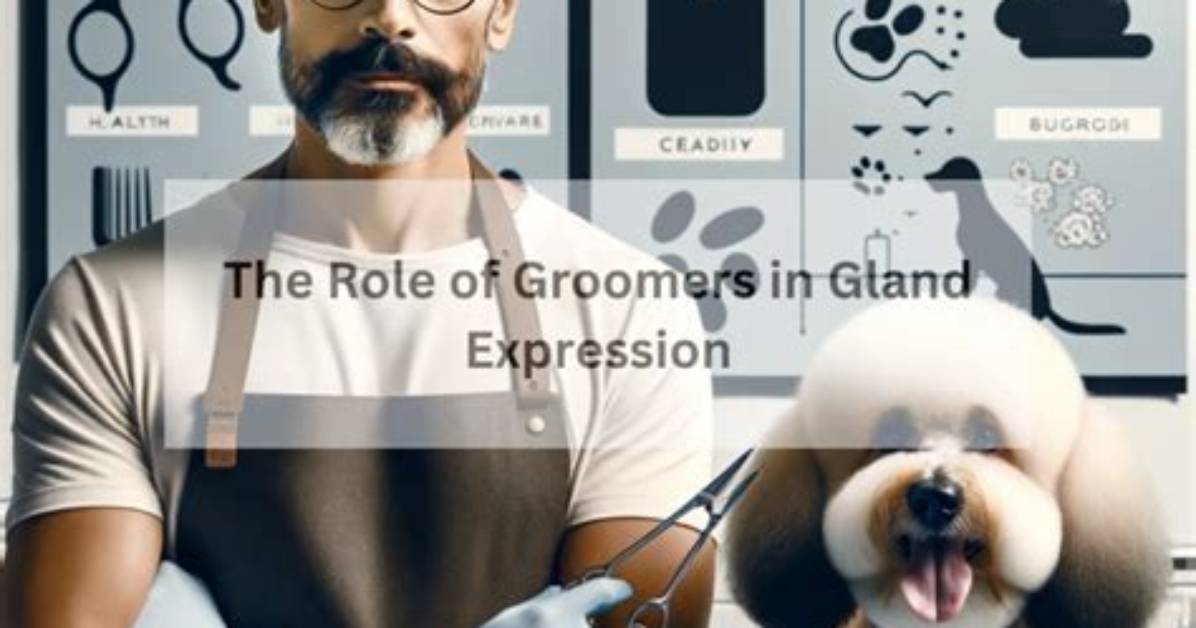 Do Groomers Express Glands?