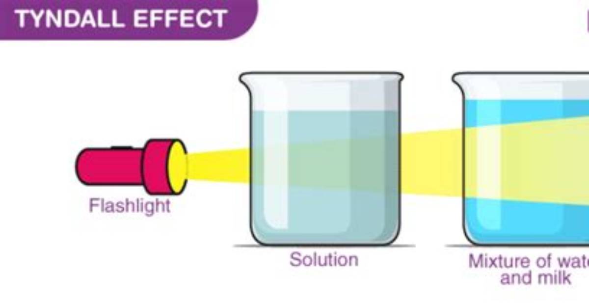 Do Heterogeneous Mixtures Exhibit the Tyndall Effect?