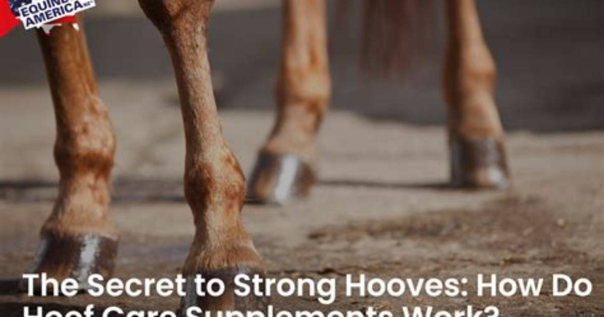 Do Hoof Supplements Work?