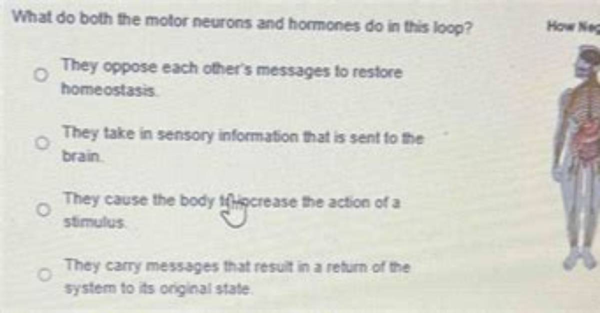 Do Hormones Carry Neurons?