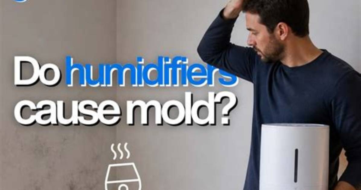 Do Humidifiers Cause Mold?