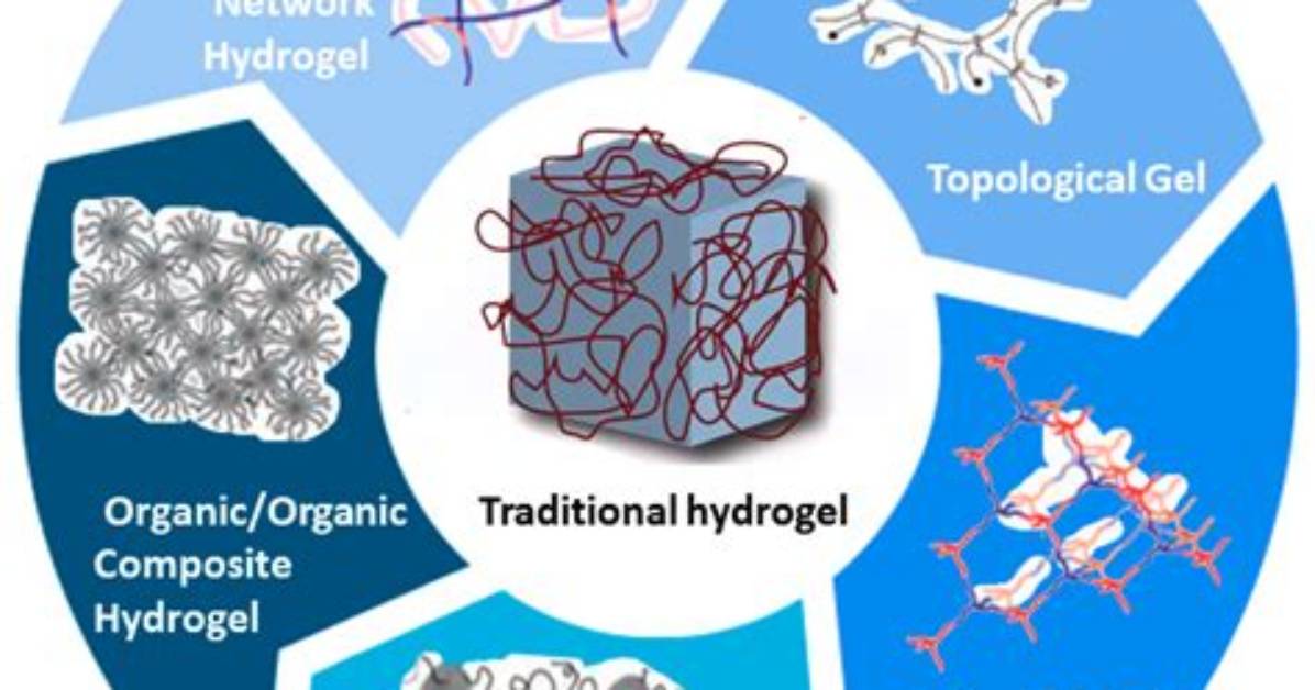 Do Hydrogels Used Polymers?