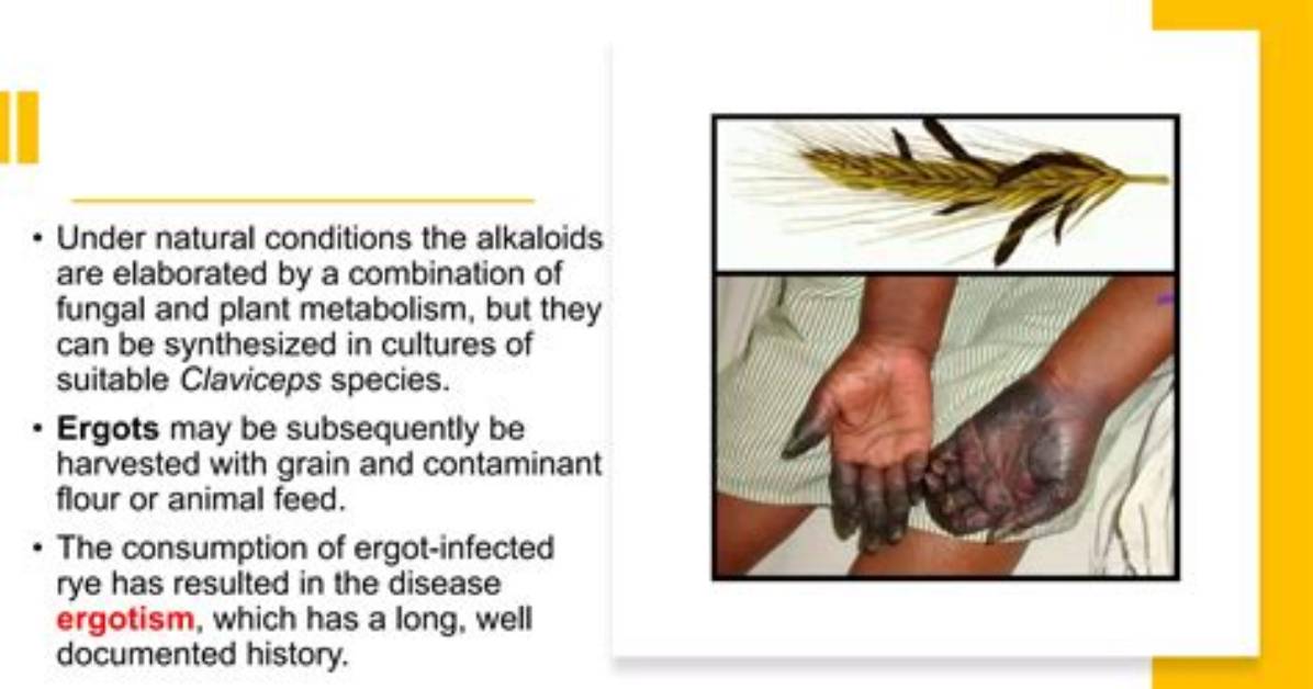 Do I Have Ergot Poisoning?