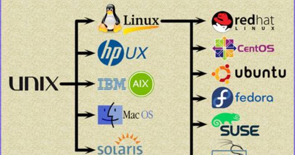 Do I Have Linux or Unix?