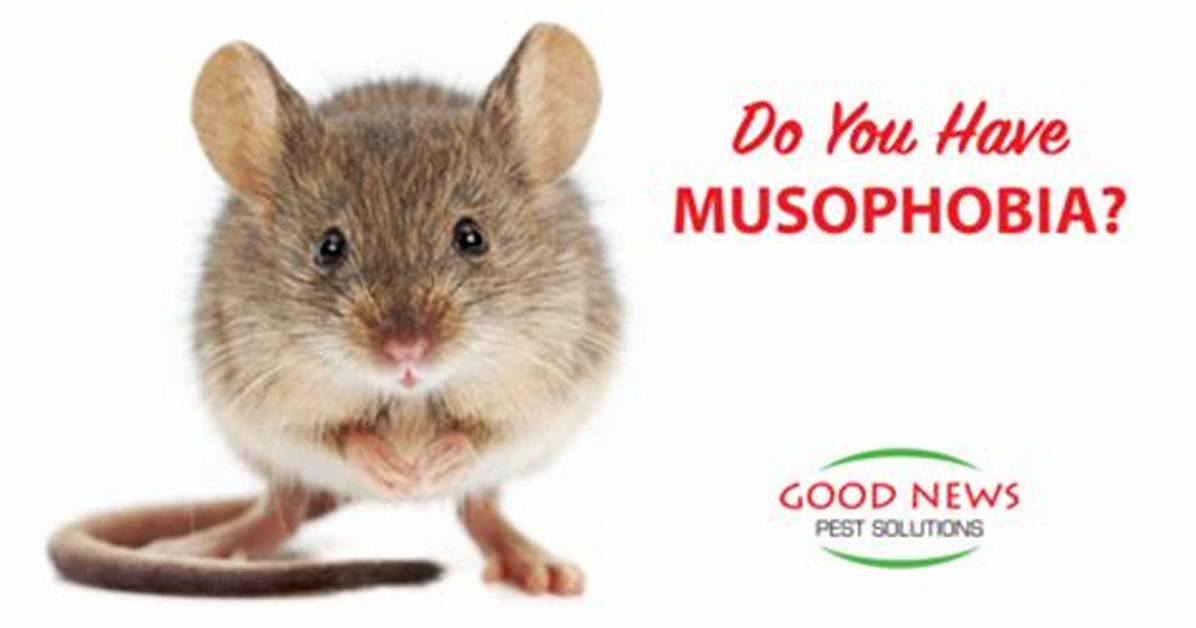 Do I Have Musophobia?