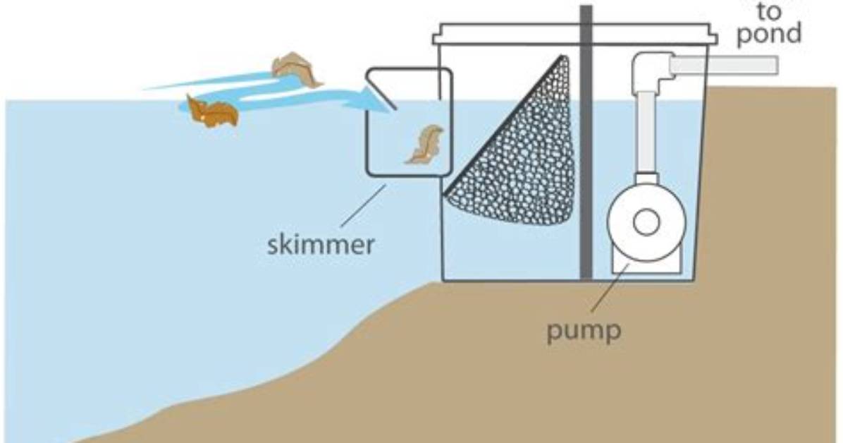 Do I Need a Pond Skimmer