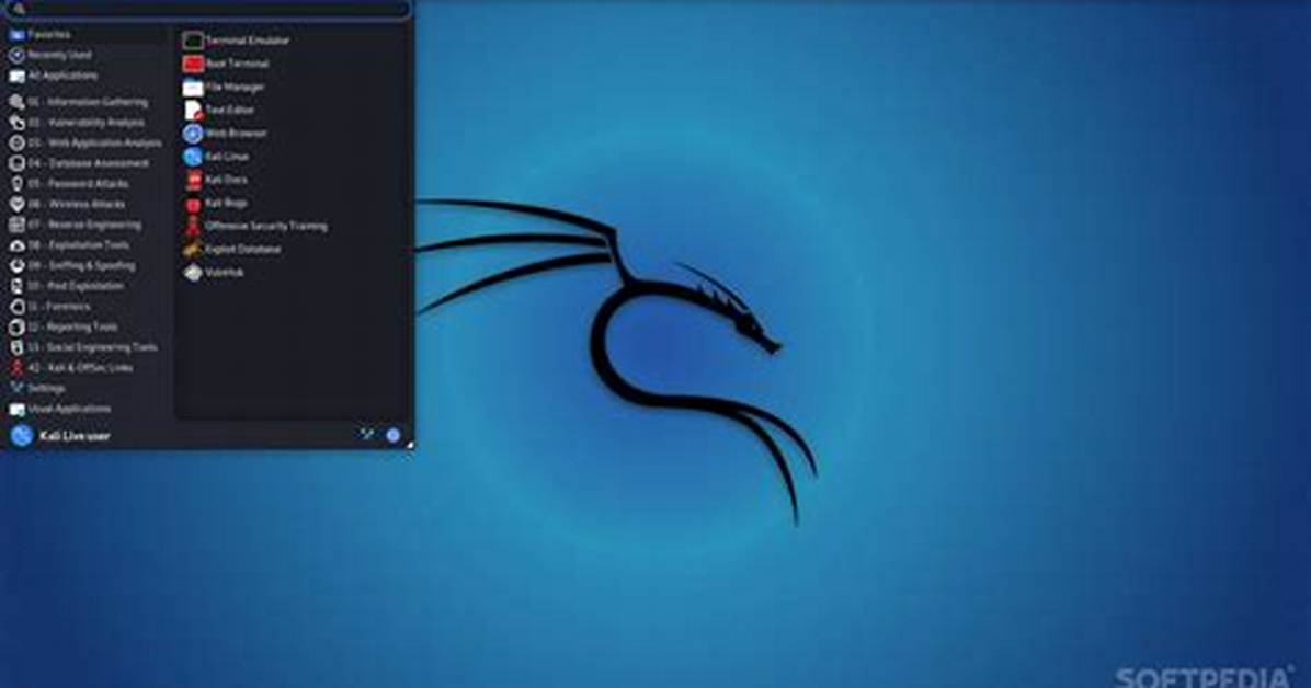 Do I Need Kali Linux?
