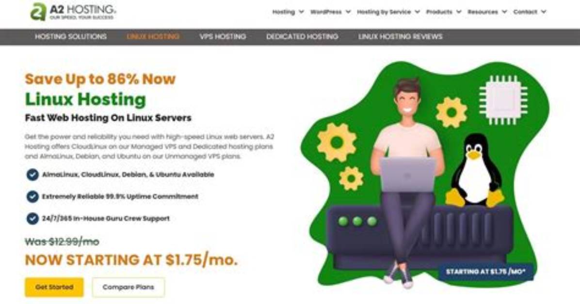 Do I Need Linux Hosting?
