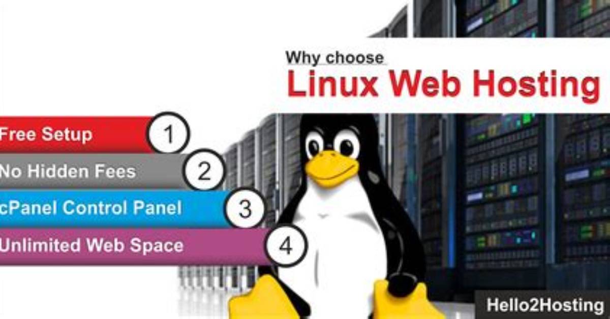 Do I Need Linux Web Hosting?