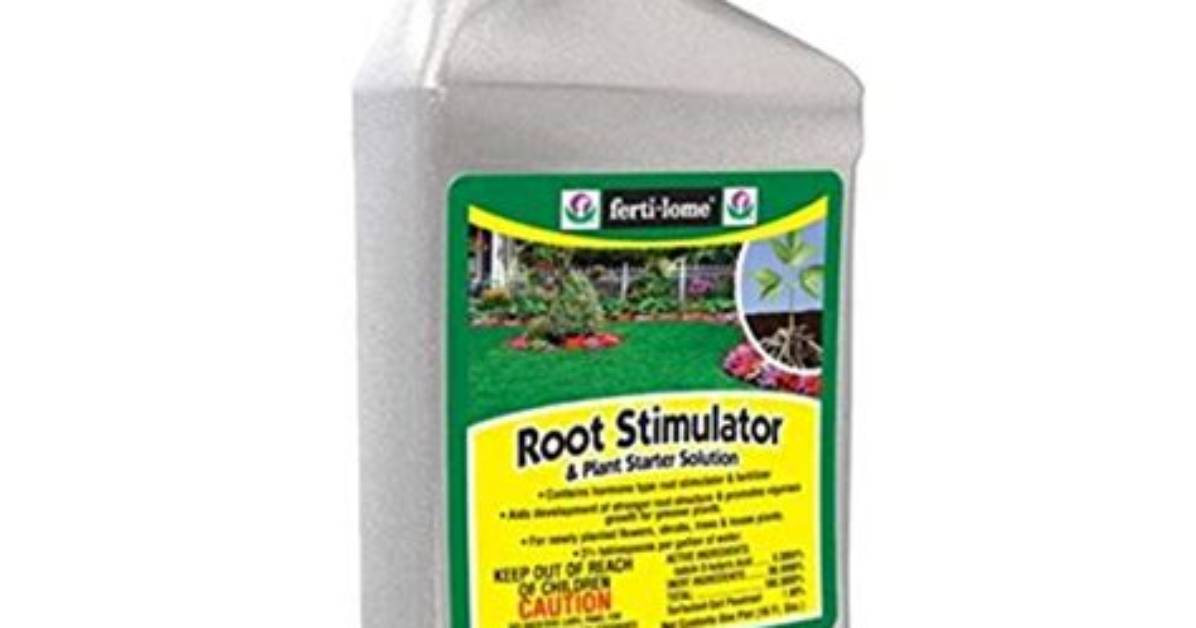 Do I Need to Use Root Stimulator?
