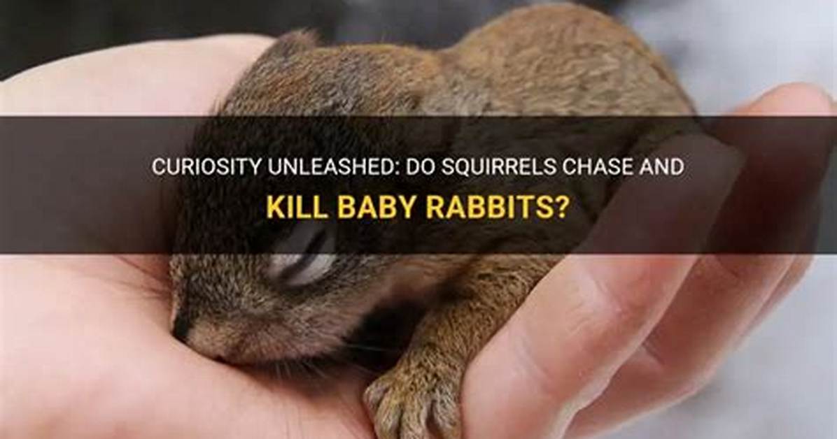 Do I Save the Baby or Kill Chrysis?