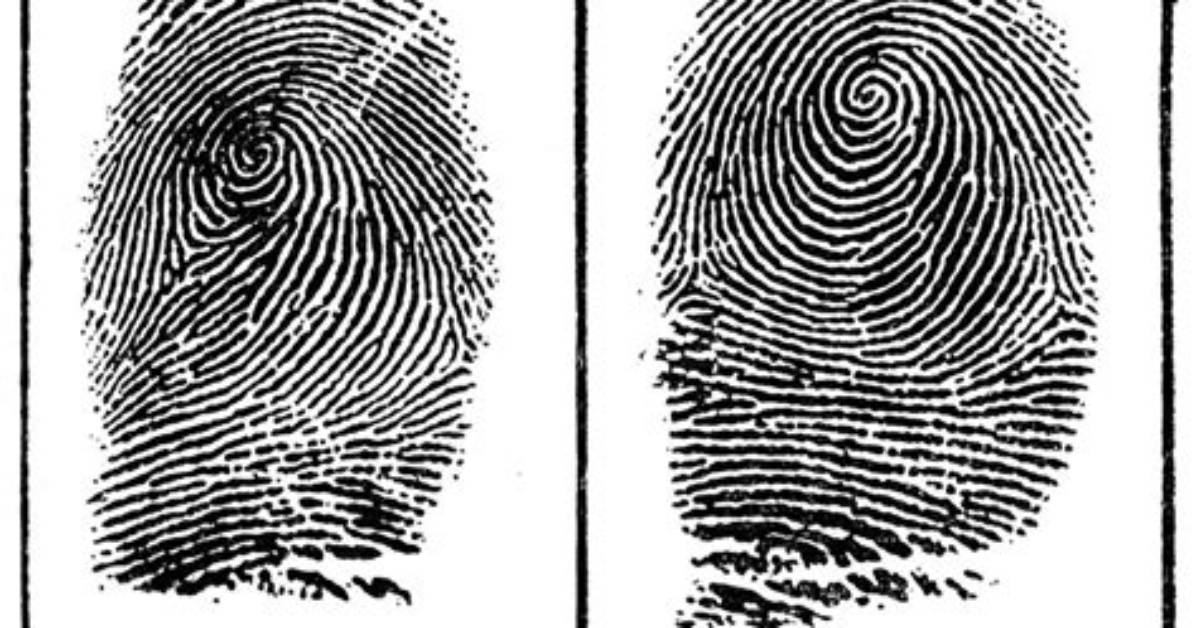 Do Identical Twins Have the Same Fingerprints Why or Why Not?