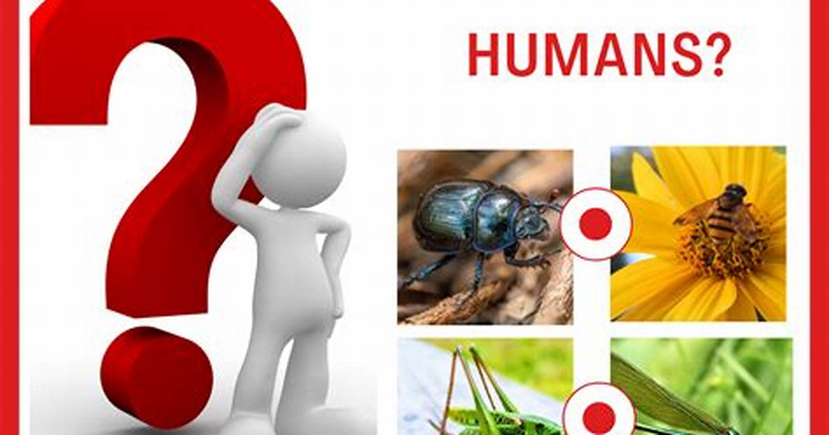 Do Insects Recognize Humans?